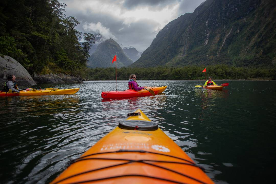 Kayaking in Milford Sound