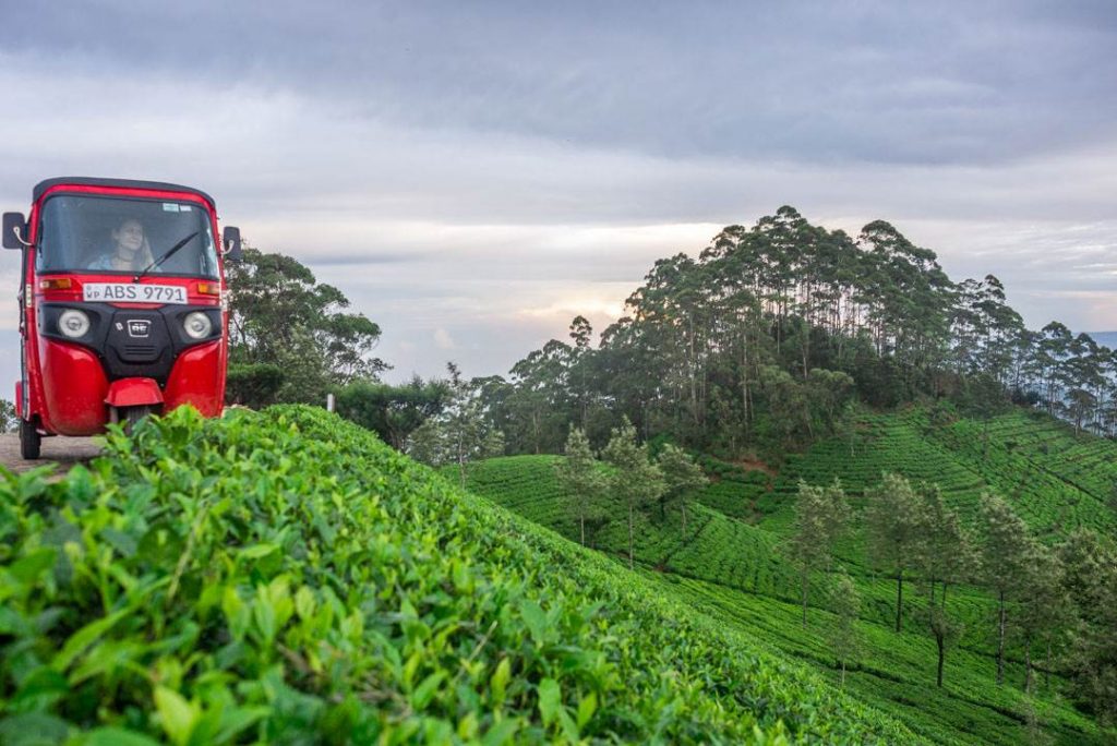 Exploring the tea fields in Haputale Sri Lanka in our tuk tuk