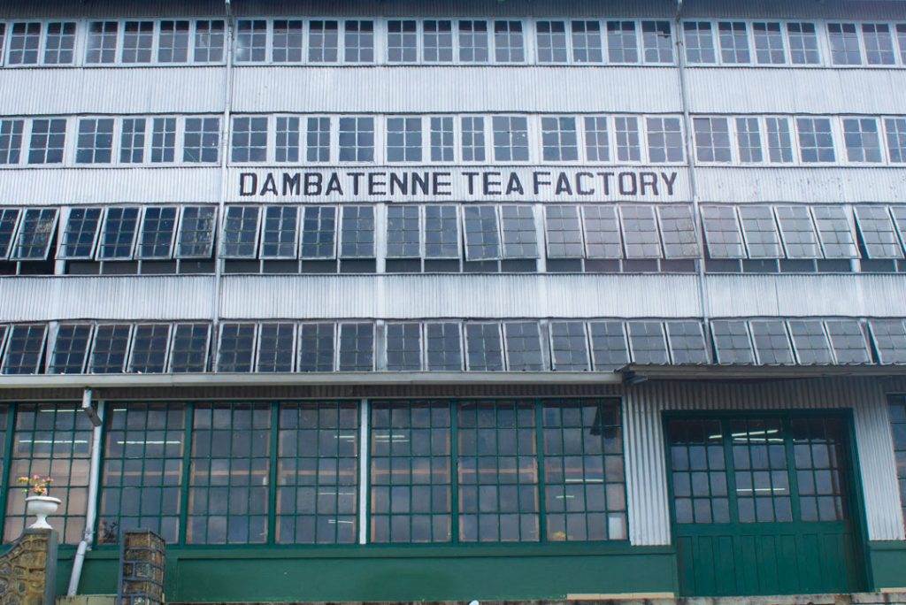 The Dambatenne Tea Factory Haputale