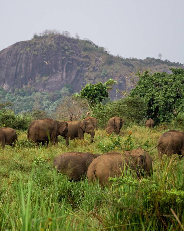 maduru oya National Park is one of the best things to do in Sri Lanka