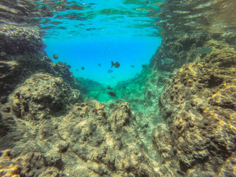 Snorkeling at Red Rocks in Trincomalee