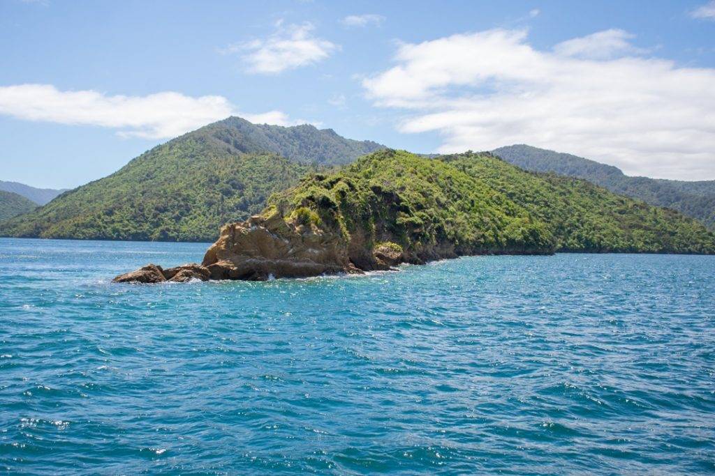 Views of the Marlborough Sounds from our cruise