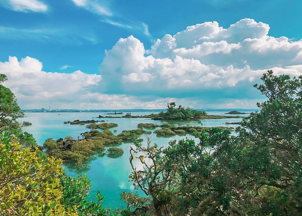 Views from Rangitoto Island near Auckland, New Zealand