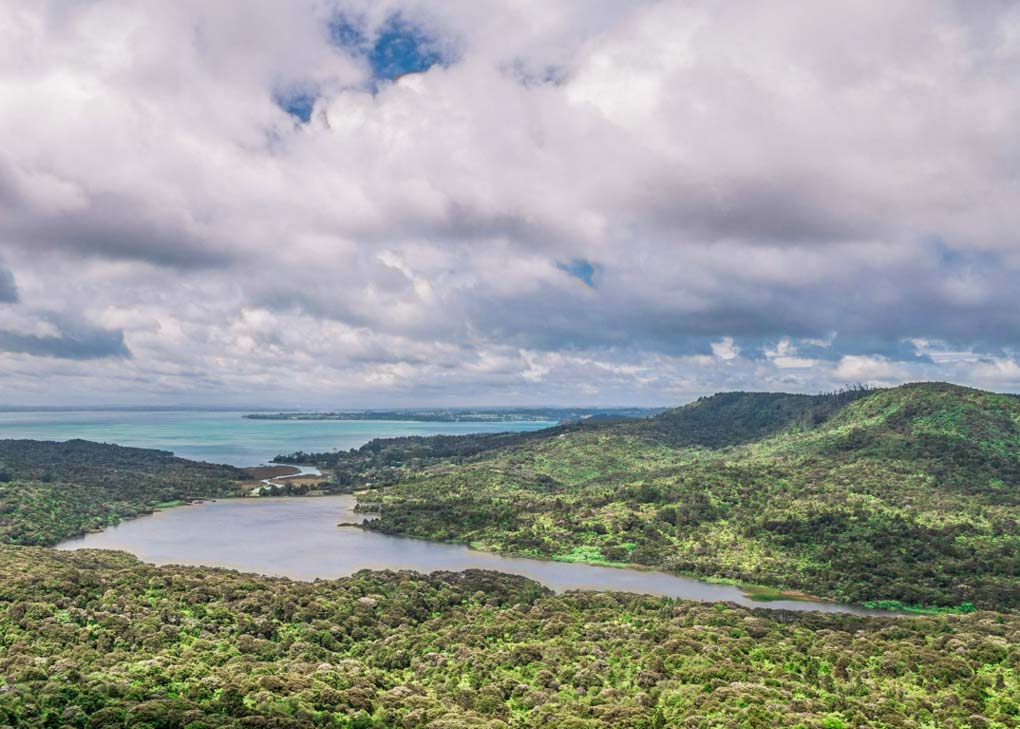 Views for a viewpoint in Waitakere Ranges Regional Park near Auckland, New Zealand