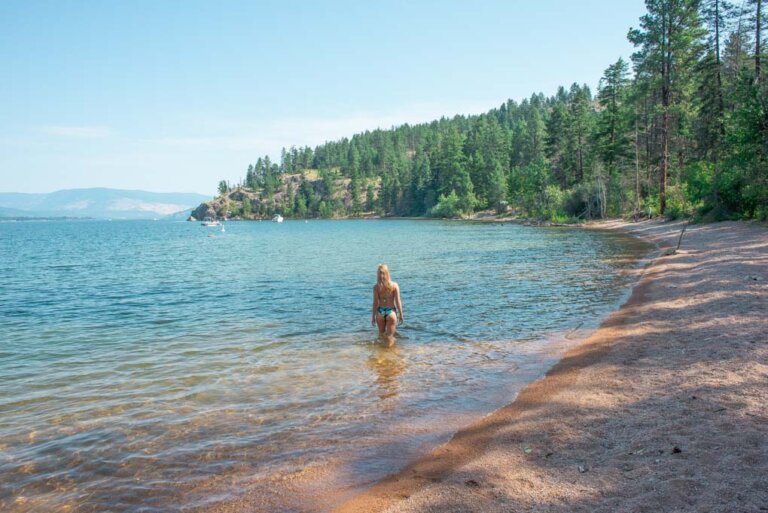 Bailey in the water at Ellison Provincial Park in Vernon, BC