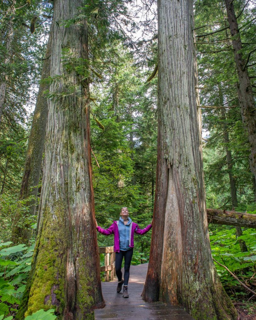 Exploring Glacier National Park