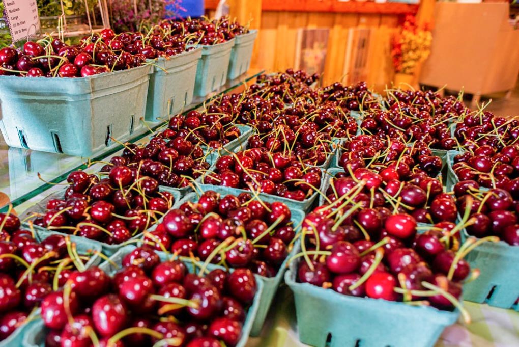 Fresh cherries at a farmers market
