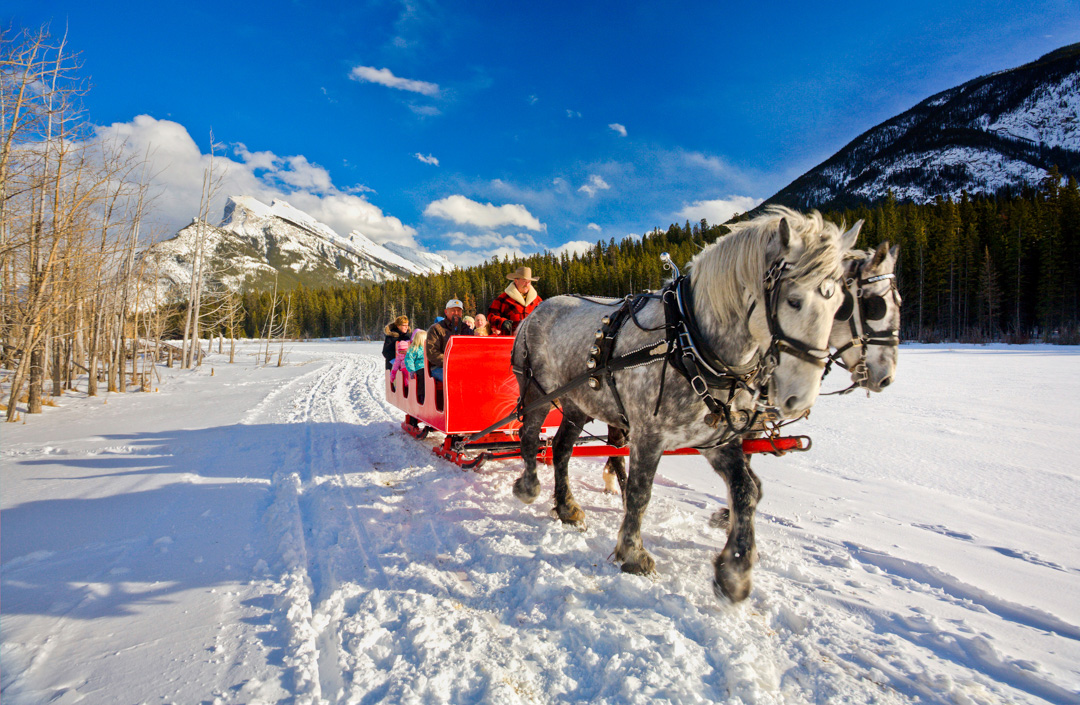 a horse drawn sleigh in the winter in abnff