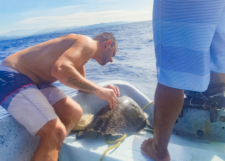 Rescuing a turtle in Mexico