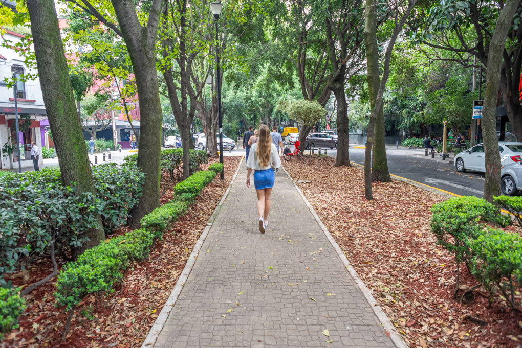 Walking Amsterdam Ave in La Condesa