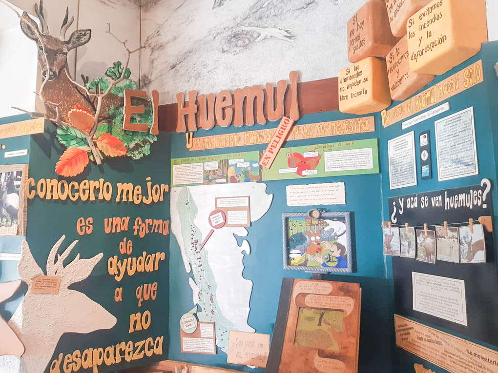 information board about huemuls in the el chalten visitor center