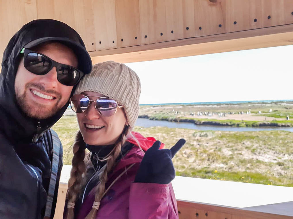 two people looking at king penguins in parque penguino rey chile