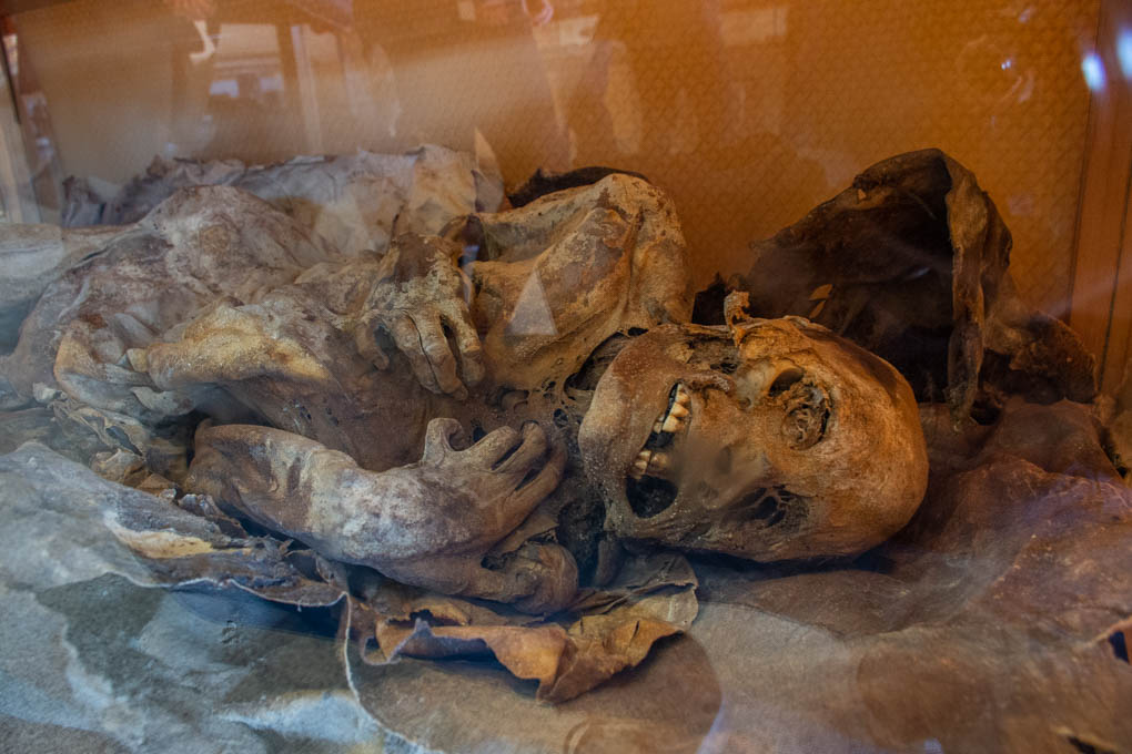 kala the mumified selk'nam in porvenir chile