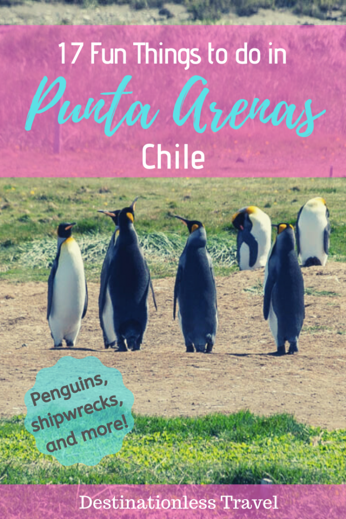 things to do in punta arenas chile pinterest image