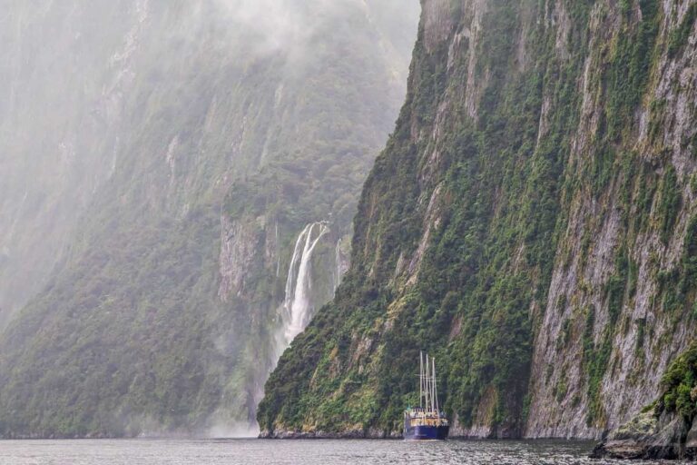 A Milford Sound cruise travels along a steep cliff in Milford Sound