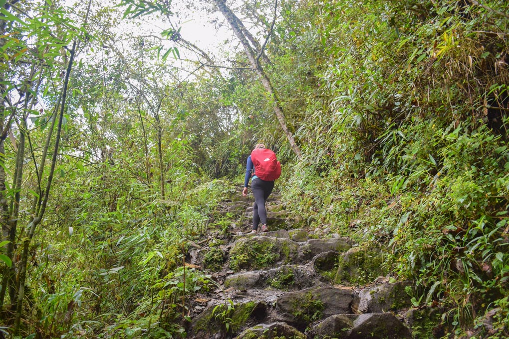 Hiking up the original trail built by the Incas