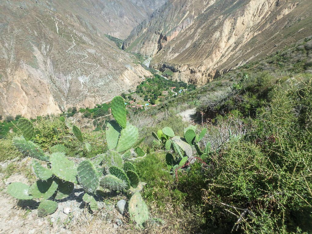 Views of the Colca Canyon Valley Floor