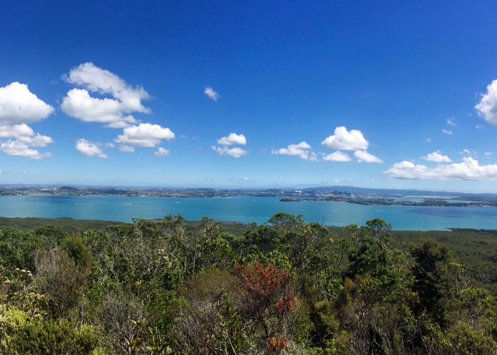 Rangitoto Island summit track view, Auckland