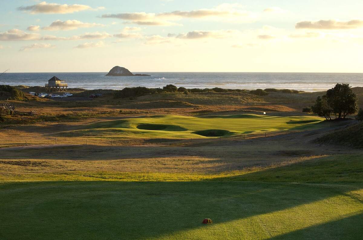the golf course at sunset at Muriwai. View of the ocean in the background.