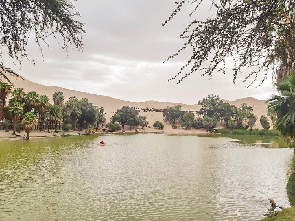 A view of a person paddle boating on the lake in Huacachina, Peru