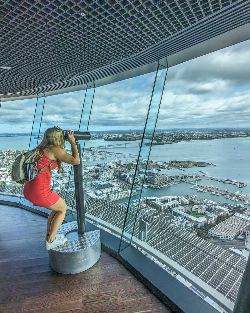 Bailey enjoys the view at the Sky Tower in Auckland