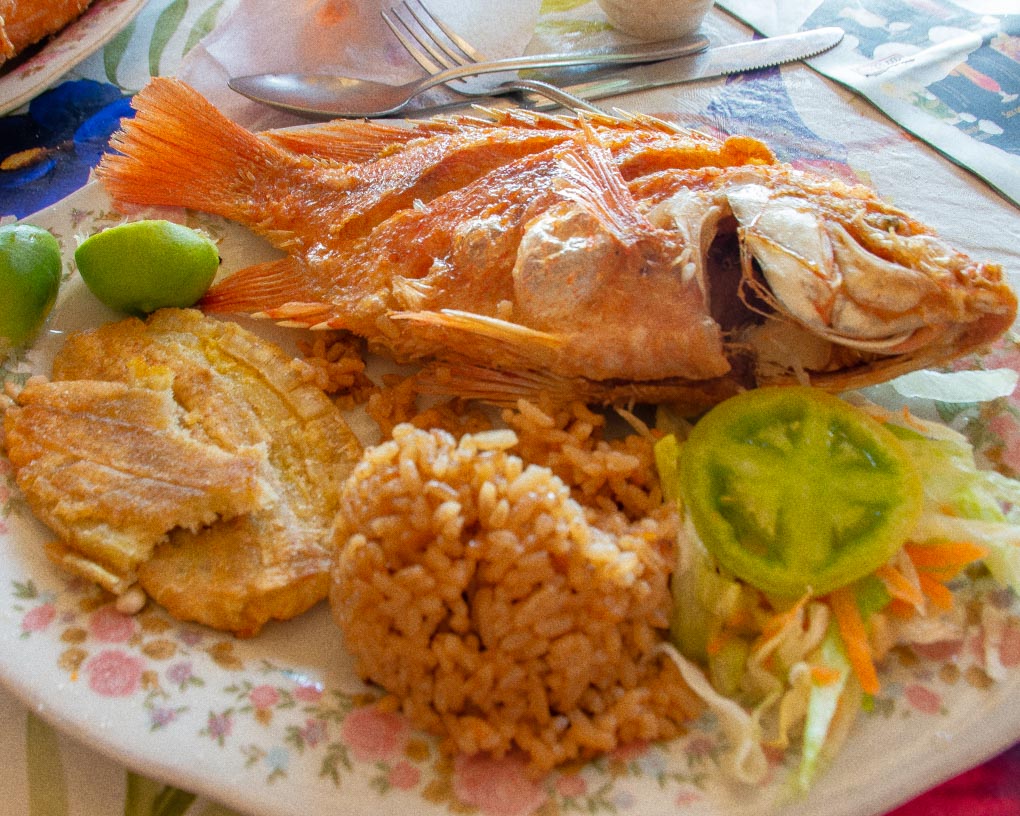 Fried fish, plantains and coconut rice from our food tour in Santa Marta