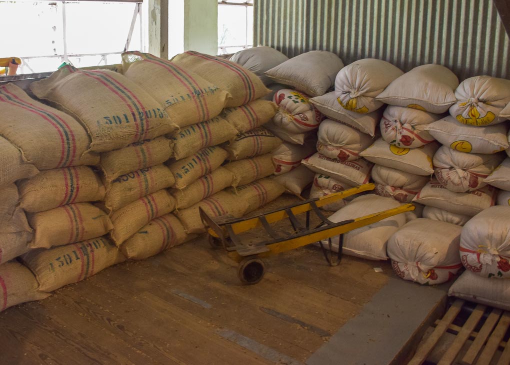 Touring a coffee farm in Minca