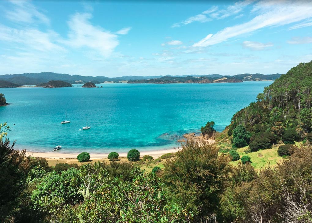 Photo from a remote island on a Bay of Islands island cruise. 
