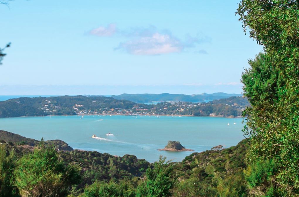 Opua Forest Lookout, Bay of Islands