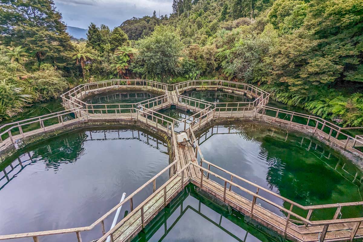 South Westland Salmon Farm near Franz Josef