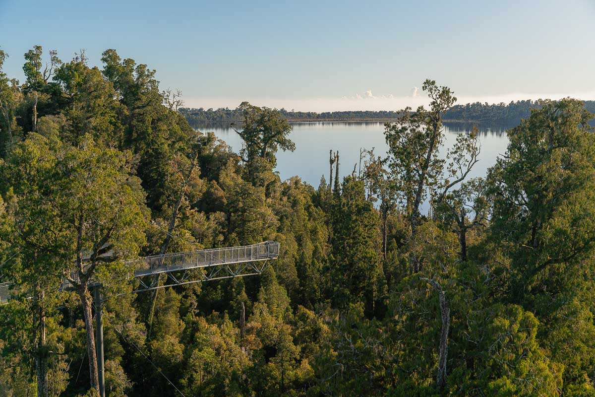 West Coast Treetop Walk