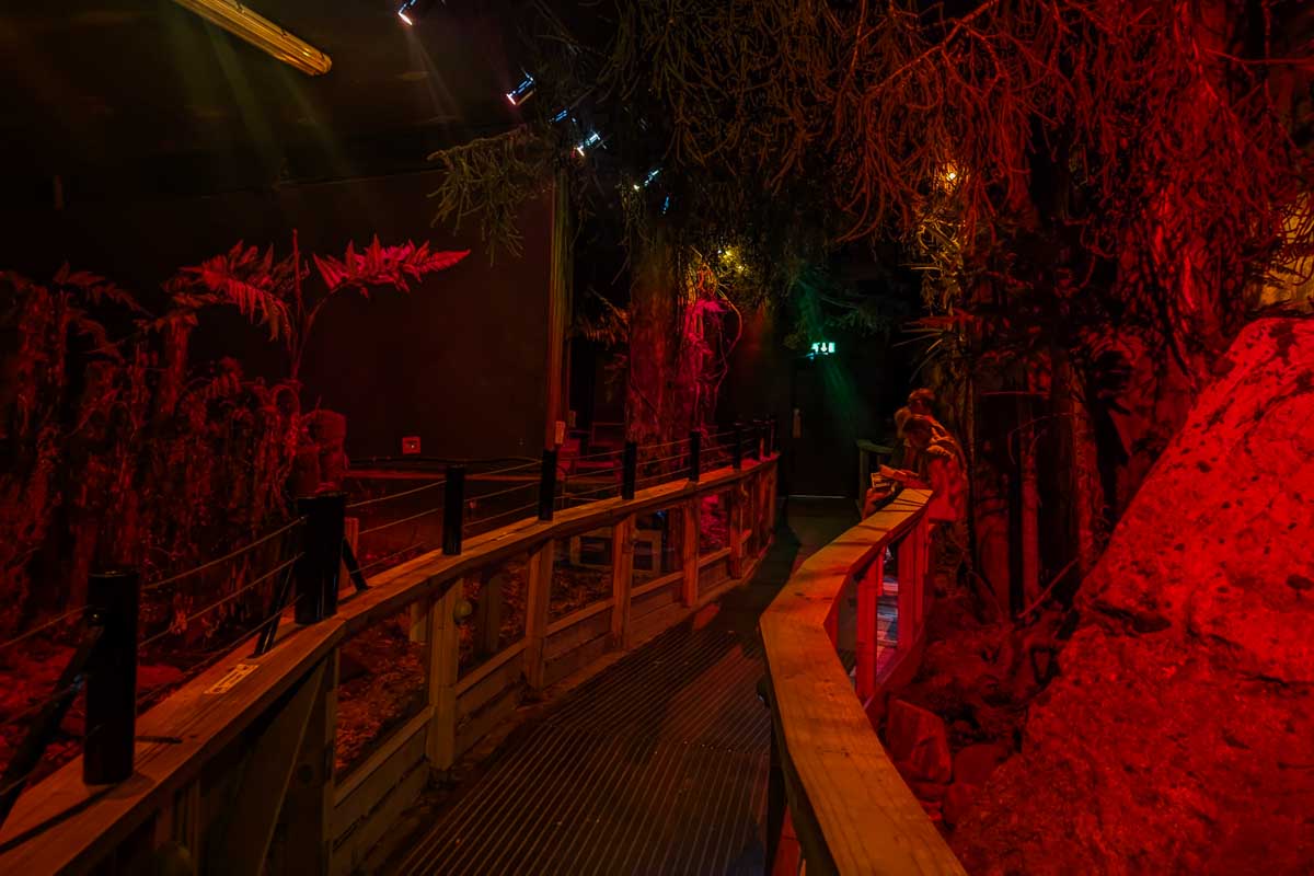 West Coast Wildlife Center Kiwi enclosure in Franz Josef