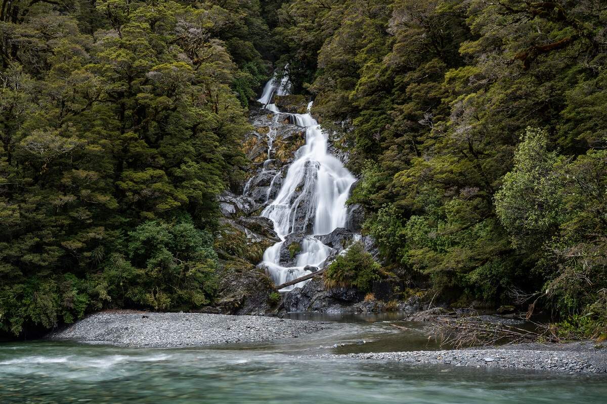 view of Fantail Falls and the creek infront of it with lush greenery surround the falls