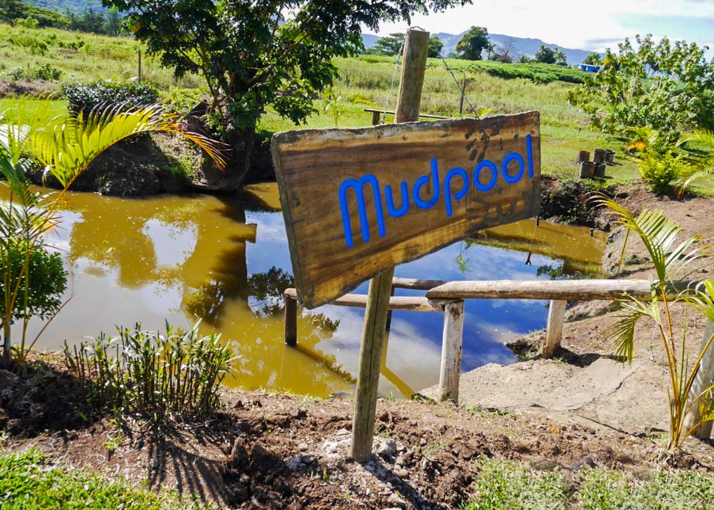 the mud pools in Nadi, Fiji