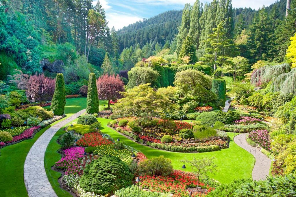 The amazing Butchart Gardens