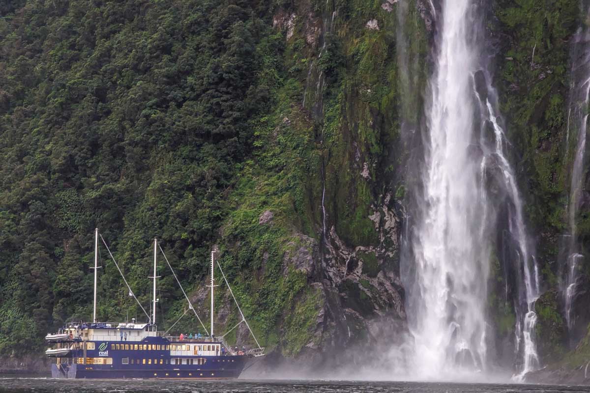 RealNZ Milford Sound cruise