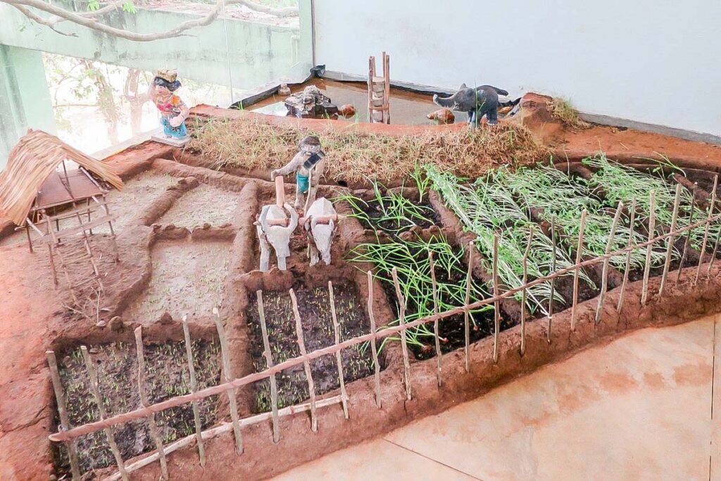 Sigiriya Archaeological Museum