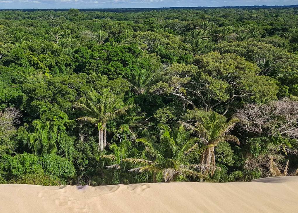 Parque Lomas de Arena near Santa Cruz, Bolivia