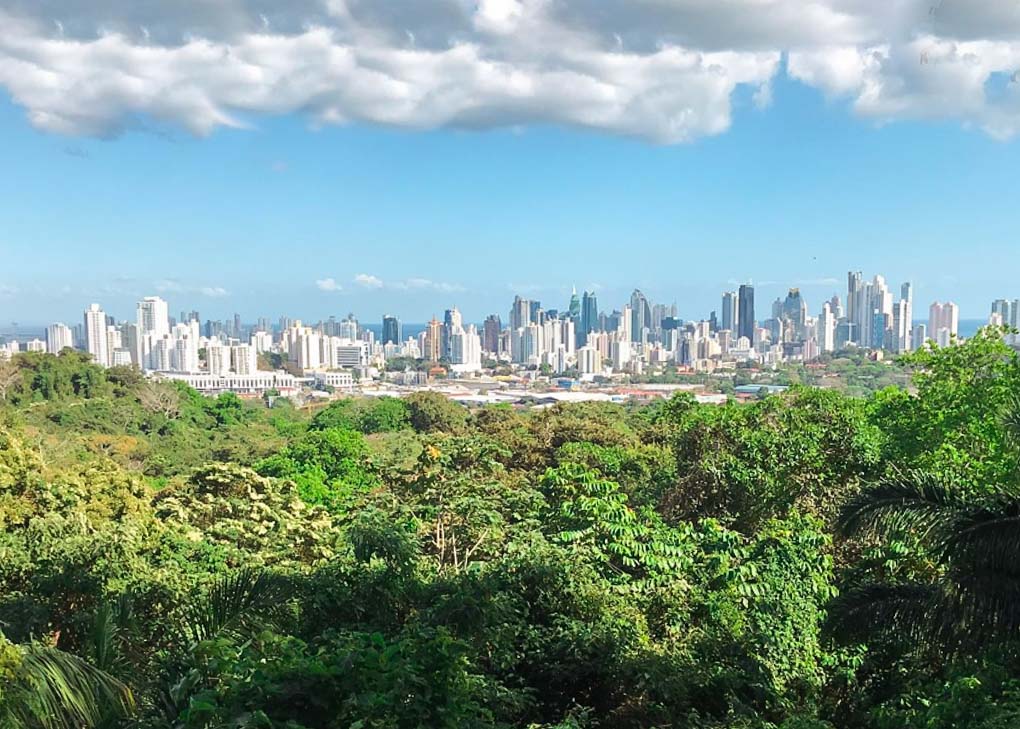 Mirador Cerro Cedro in Metropolitan National Park, Panama City