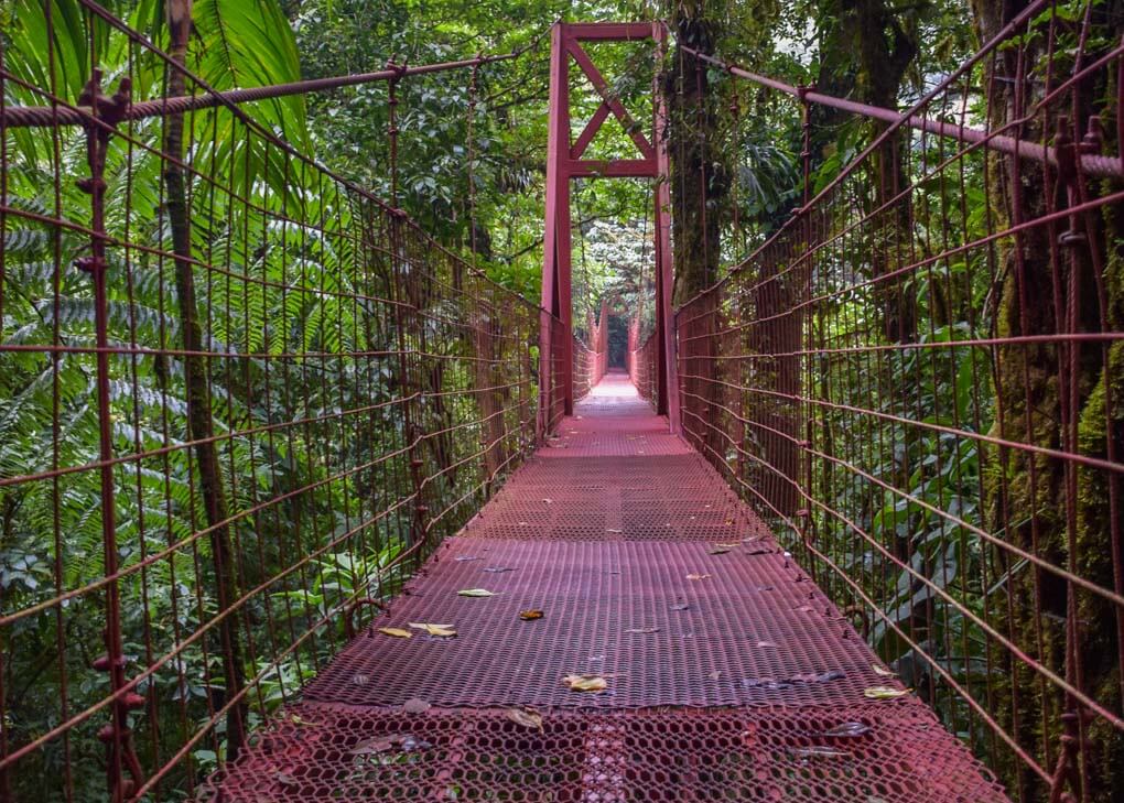 The suspension bridge in the Monteverde Cloud Forest Reserve