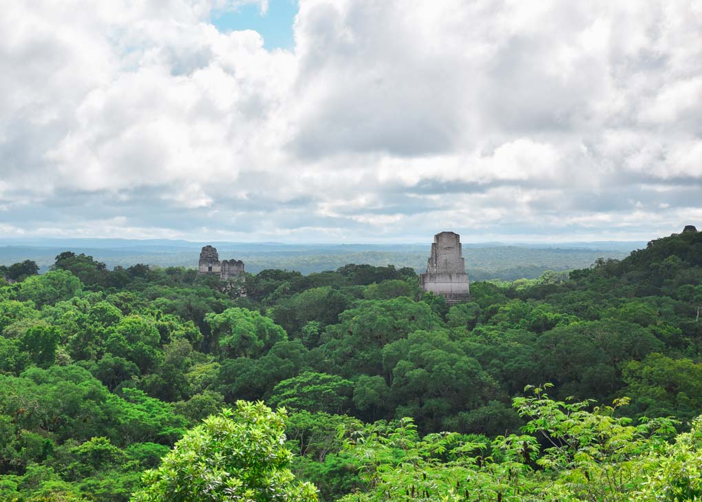The ruins of Tikal stick above the treetop canonpy 