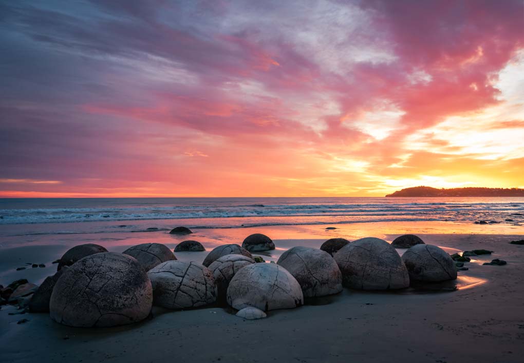 many Moeraki boulders on the beach at sunrise in New Zealand