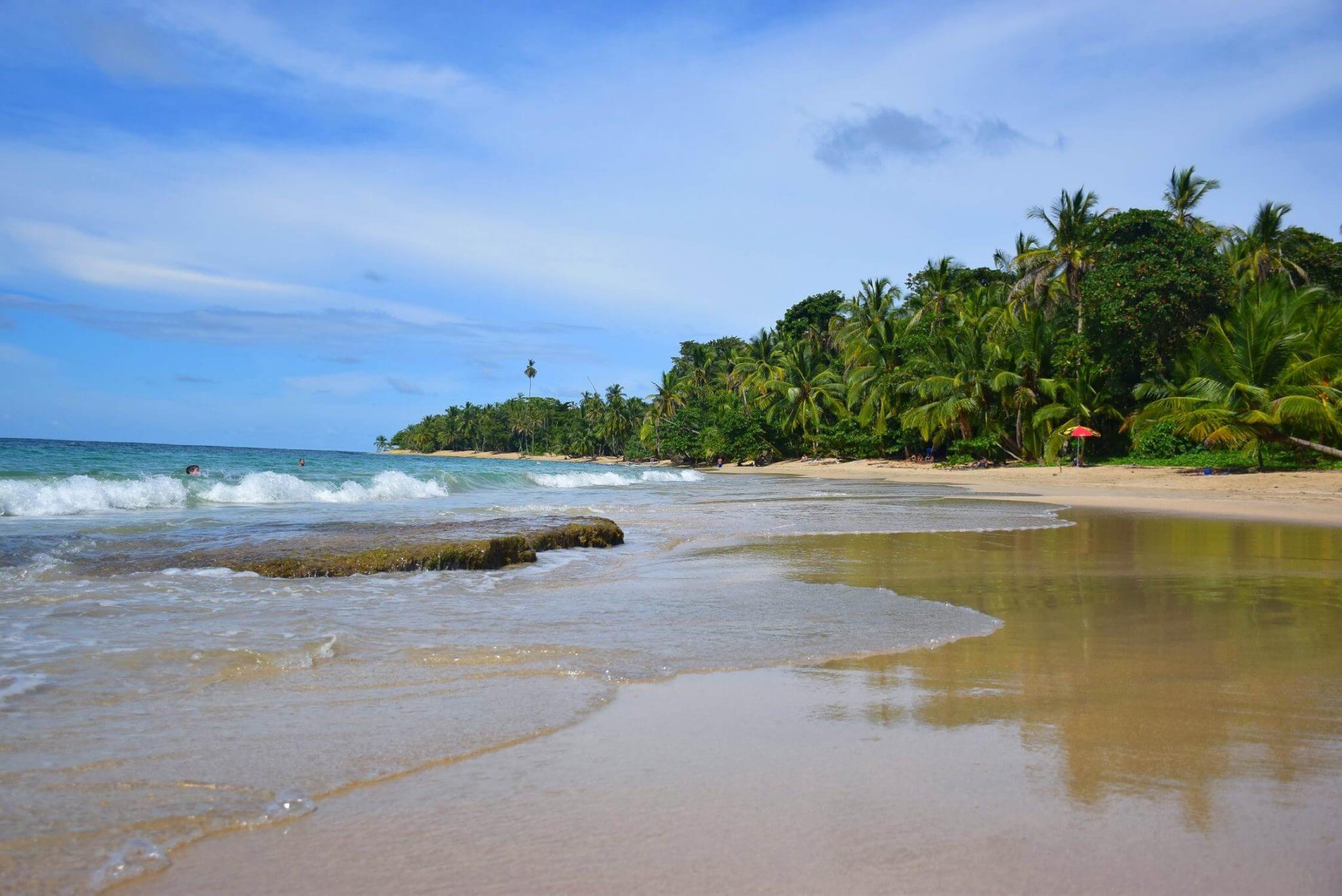 playa cocles in Puerto Viejo, Costa Rica
