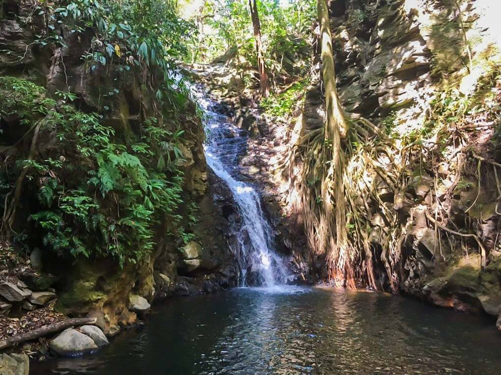 Monteverde Waterfall 