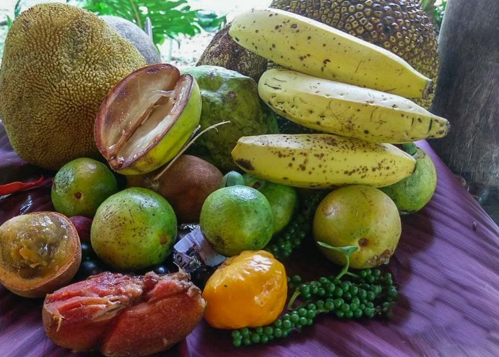 fruit that you'll find at Finca La Isla