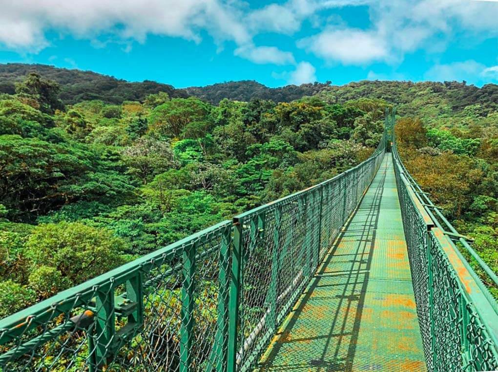 One of the hanging bridges in Selvatura Park, Monteverde