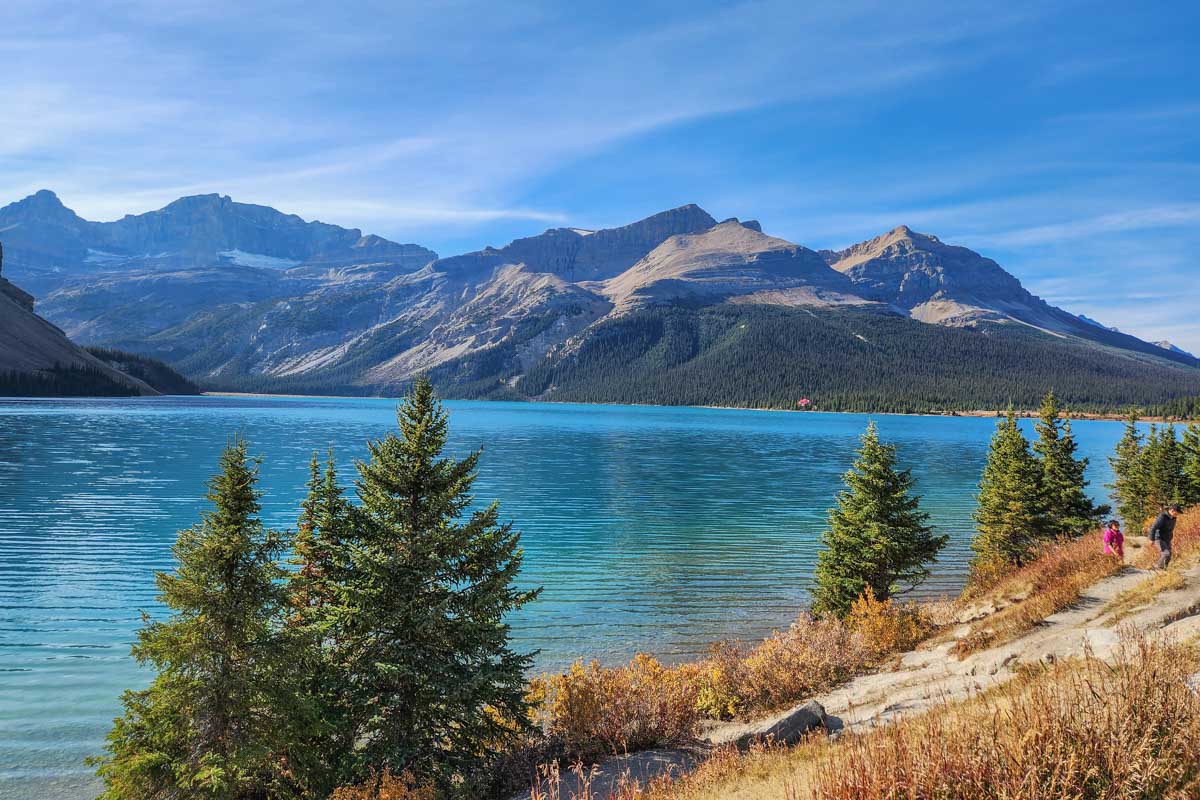 Bow Lake as seen from the Bow Lake Lookout on the Icefields Parkway in Canada