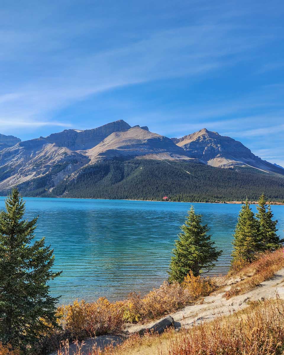 Bow Lake from the Bow Lake Lookout on the Icefields Parkway