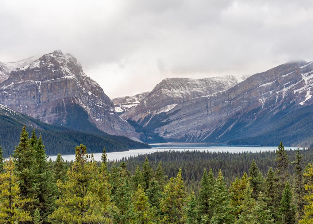 Views of the mountains on the Icefields parkway