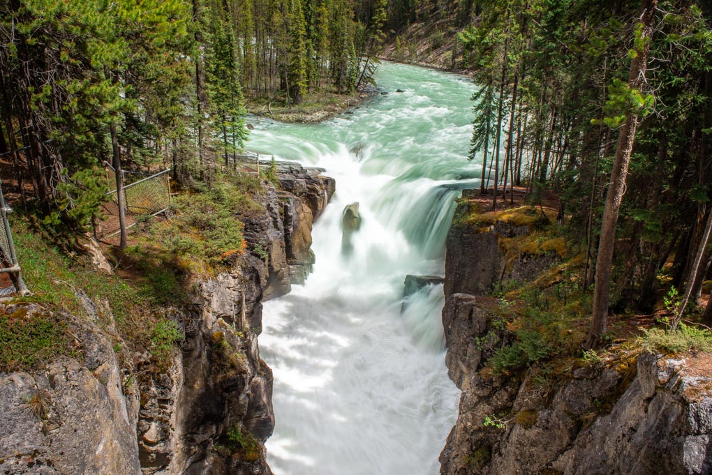The beautiful Sunwapta Falls from the boardwalk